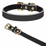 LOVPE - Collare per cani e gatti, con fibbia in strass dorati, in pelle, imbottito, per cani di taglia piccola, taglia S, colore: Nero
