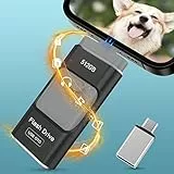 Chiavetta 512GB per Phone,Ryican USB 3.0 Pendrive 4 in1 Photostick Pennetta USB C Chiave USB Type C con iOS,Micro USB,Tipo C Porta/Smartphone, Android, Computer, Laptop, PC(Nero)