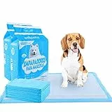 Edipets, Tappetini Igienici per Cani 60x60, Assorbenti, Tappetini Monouso per l'Addestramento dei Cuccioli (40 unità)
