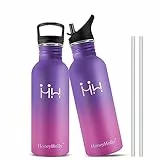 HoneyHolly Borraccia Acciaio Inox, Borracce con Cannuccia 500ml, Non Isolata Borraccia Acciaio e Filtro, Ecologica, Senza BPA, Bottiglia Acciaio a Singolo Strato, per Palestra, Yoga, Viaggi, Scuola