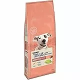 Purina Tonus Dog Chow Sensitive Crocchette Cani con Salmone, 14 kg