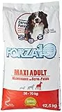 Forza 10 Maxi Adult Maintenance Cervo alimento Cane Secco Premium Sacchetto, Multicolore, Unica