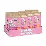 PURINA ONE Bifensis Crocchette Gatto Junior 1-12 Mesi Ricco in Pollo e Cereali Integrali - 8 sacchi da 800g ciascuno