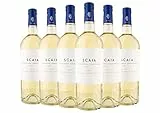 Delle Venezie IGT Scaia Garganega - Chardonnay Tenuta Sant'Antonio 2018 0,75 L box da 6 bottiglie