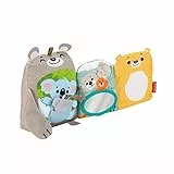Fisher-Price - Attività delle Coccole Libro di Peluche per l'Apprendimento, Giocattolo per Neonati 3+ Mesi, GJD37