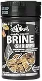 Haquoss Brine Shrimps Mangime Naturale Liofilizzato in Artemia Salina per Pesci Tropicali d'Acqua Dolce e Marina, 100 ml/8 gr
