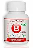 FitoHerbal Vitamina B Complex ALTO DOSAGGIO Integratore Complesso Vitamine B1 B2 B3 B5 B6 B7 B9 B12 Supporto per Stanchezza Sistema Immunitario Memoria Capelli Occhi Pelle. Qualità Made in Italy