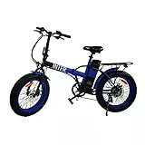 Nilox - E-Bike X8 Inter, Bici Elettrica con Pedalata Assistita, Motore Brushless High Speed da 36V, 250W e Batteria Removibile LG da 36 V - 10.4 Ah, Gomme Fat da 20' x 4”e Doppio Freno a Disco