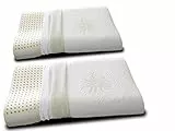 EVERGREENWEB Coppia Cuscini 100% Memory Foam Cervicale con Fodera Aloe Vera e Cotone, Doppia Onda Ortocervicale 9 cm Tessuto SFODERABILE e Lavabile Guanciali Letto Ortopedici per Tutti Materassi