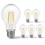 Aigostar Filamento Lampadine LED E27 6W Equivalenti a 55W, Luce Calda 2700K, 730Lm, A60 Stile Vintage, Non Dimmerabile, Pacco da 5 Pezzi