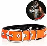 PetTec Comodo Collare Regolabile per Cani di Tutte Le Taglie, Permanente & Robusto; Prodotto con Trioflex Resistente e Antistrappo; Impermeabile e Resistente alle intemperie (Arancione)