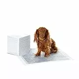Amazon Basics, Tappetini al carbone con controllo degli odori per l'addestramento di cani e cuccioli, a prova di perdite con superficie ad asciugatura rapida, dimensione standard, confezione da 40
