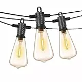 ZOTOYI Catena Luminosa Esterno LED 45M, ST38 Lampadine da Esterno Giardino con 73+3 Plastica Lampadine, Impermeabile IP65 Luminarie da Esterno per Giardino Terrazzo Partito Decorative