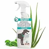 Hundepflege24 Spray antizecche, repellente contro insetti & rimedio anti pulci per cane e gatto 500ml - Protezione efficacissima, naturale e durevole contro zecche, pulci, pidocchi, zanzare, acari