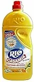 6 X Rio Casamia agrumi di sicilia pavimenti agrumi Detergente per pavimenti 1.250 ML