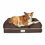 PetFusion, Cuccia per Cani in Memory Foam, per Cani di Taglia Media e Grande