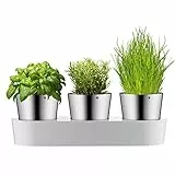 WMF Vaso per erbe gourmet con sistema di irrigazione in 3 parti, giardino delle erbe per la cucina, 36x 12,5x 12,5 cm, per erbe aromatiche fresche, bianco