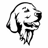 AMA SHOP Adesivo Prespaziato cane razza Golden Retriever colore nero | Adesivi per Auto | Sticker per Casco, Moto, Camper | Adesivo in PVC per Decalcomania Vetrofanie Parete, Murale