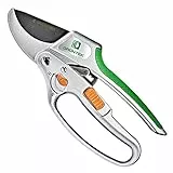 GRÜNTEK Forbici Cesoie Potatura Giardino Troncarami a Cricchetto. Taglio Incudine. Forbici da Giardinaggio Professionali CACATUA 20.5 cm