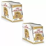 Royal Canin Poodle Adult | Confezione Doppia | 2 x 12 x 85 g | Alimento umido per barboncini adulti | Per sostenere il mantello | Nutrizione quotidiana ottimale | Dal 10° mese di vita