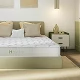 Novilla Materasso 160x190, Materasso a Molle Insacchettate Indipendenti e Schiuma Confortevole Altezza 20cm, Materasso Matrimoniale in Alto Resilienza e Isolamento del Movimento