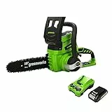 Greenworks Tools Batteria Motosega a Catena G24CS25K2 Li-Ion 24 V, 4 m/s Velocità della Catena, 25 cm Lunghezza Spada, 50 ml Volume del Serbatoio dell'Olio, Incluso Batteria 2 Ah e Caricabatterie