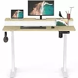 Fenge Scrivania Elettrica a 2 Livelli 120x73,5cm Scrivania Regolabile in Altezza con 3 Tastiere a Memoria Automatica e Gancio, Capacità massima 120kg ((Telaio Bianco e Scrivania Rovere)