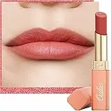 Oulac Rossetto Matte Lunga Durata Opaco - Rossetto e Fard, Nudo Rossetti, Altamente Pigmentato, Nutriente Effetto Velluto, Finish Matte e Cremoso, Copertura Totale, Vegan&Cruelty-Free,3.6g(Y08)