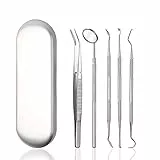 Rpanle Pulizia Denti Tartaro Ablatore Kit, Igiene Dentale Kit per Placca e Tartaro Rimozione Sbiancamento Denti kit