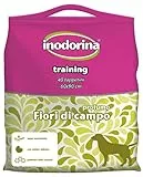 Inodorina, Inodorina Training, Tappetino Igienico Profumato, in Pura Cellulosa Vergine Super Assorbente, con Polimeri Odor Control e Sticker Antiscivolo, Fiori di Campo, Formato 60x90 cm, 40 pezzi