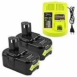LabTEC RB18L50 18V 5Ah Batteria di ricambio per Ryobi 2 pacchetti con caricabatterie a doppia porta di ricambio per Ryobi P117 12V-18V One Plus Series USB per Ryobi P107 P108 RB18L15 RB18L40