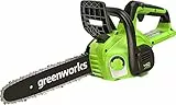 Greenworks G40CS30II Motosega a Batteria, Lunghezza Barra 12-Pollice (30 cm), Velocità Catena 4,2m/s, 2,6kg, Auto-Lubrificante, SENZA Batteria 40V e Caricabatterie, Garanzia 3 Anni