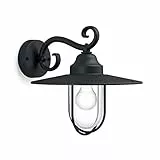 Philips Lighting Pasture Lampada da Parete Plafoniera Illuminazione Giardino Ambienti Esterni Design Vintage Black Edition, Nickel, 30 x 36 x 30 cm