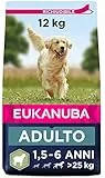 Eukanuba Cibo Secco per Cani Adulti Attivi di Taglia Grande, Ricco di Agnello e Riso, 12 kg