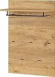 GERMANIA DIE MÖBELMACHER GW-Fremont 2794-243 Pannello Guardaroba, Acrilonitrile Butadiene Stirene^Quercia^Metallo, Imitazione Rovere Navarra, (L/H/P), 75 x 110 x 30 cm