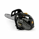Alpina Motosega da potatura APR 25 (10)’’, Barra di taglio 25 cm (10’’), Motore a scoppio 25,4 cc, 900 W, Velocità catena 21 m/s, Pompa olio automatica regolabile