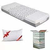 EVERGREENWEB - Materasso Una piazza e mezza 120x190 cm Alto 20 cm Memory Foam Ortopedico MASSAGGIANTE con Cuscino Letto Incluso, Rivestimento SFODERABILE Lavabile Tessuto Antiacaro Anallergico | Alba