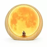 Lampada da Notte al Chiaro di Luna Per Anniversario, Matrimonio e San Valentino, Regalo di Decorazione Artistica (Non Ricaricabile)