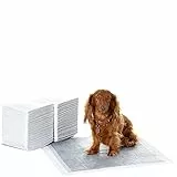 Amazon Basics, Tappetini al carbone con controllo degli odori per l'addestramento di cani e cuccioli, a prova di perdite con superficie ad asciugatura rapida, dimensione standard, confezione da 80