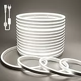 BAGZY Striscia LED Neon 5 Metri Tubo LED Flessibile Esterno Impermeabile Luminosa 220V IP65 120 LED/M Corda Stringa Lampada con Alimentatore di rete e Controller,per Camera da Letto(Bianco)