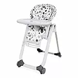 Polly Progres5 Seggiolone Pappa Regolabile per Bambini 0 Mesi, 3 Anni (15 kg), Trasformabile in Rialzo Sedia Bambini, Reclinabile a Sdraietta, con 4 Ruote e Chiusura Compatta, Anthracite