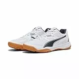 PUMA Solarflash II, Scarpe da Ginnastica per Ambienti Interni Uomo, Gomma Grigia Ombra Bianca, 41 EU