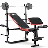 ISE Panca Pesi Pieghevole con Schienale Regolabile & Supporto Bilanciere, Multifunzione Fitness Palestra in Casa,Allenamento per Butterfly Arms, Curl Legs, Support Curl, SY-5430B
