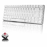 CROSS ZEBRA Tastiera Meccanica da Computer Gaming, USB Cablata 82 Tasti Anti-Ghosting Tastiera Gioco Bianco Illuminata Backlit, Mechanical Keyboard Compatta Ergonomica, Interruttore Rosso, Bianco