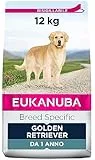 Eukanuba Breed Specific Alimento Secco per Golden Retriever Adulti, Cibo per Cani Adattato in Modo Ottimale alla Razza 12 kg