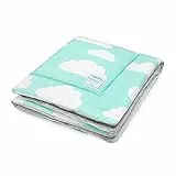 LAMPS & COMPANY Coperta in Velluto di Cotone, 100 x 80 cm, Colore: Menta