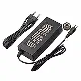 TangsFire Caricabatteria per Bici 36V Caricabatterie 42V 2A per connettore RCA 10mm per Bici elettriche