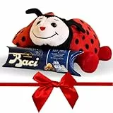 Baci perugina Peluche Regalo di Natale - Peluche Coccinella 20cm + Tubino Baci Perugina 37,5gr - Confezione Regalo (COCCINELLA)