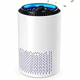 CONOPU Purificatore D'aria, Air Purifier Portable HEPA H13 Filtro, Purificatore Aria Portatile Elimina Odori, Timer, per Camera Da Letto, Bagno, Soggiorno, Seminterrato