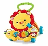 Fisher-Price Everything Baby Y9854 girello per bambino Multicolore